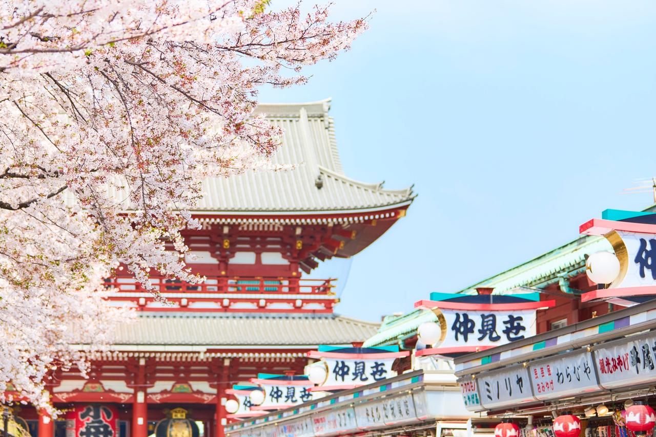 Japan Cherry Blossom Tour: Shirakawago - Tokyo - Mt. Fuji - Matsumoto - Nagoya